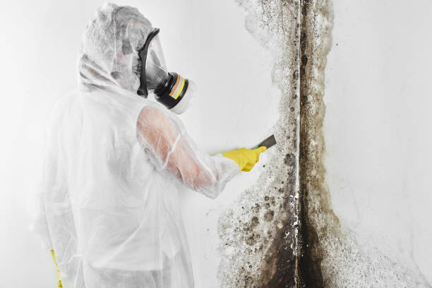 Best Mold Cleaning Services  in Milltown, NJ