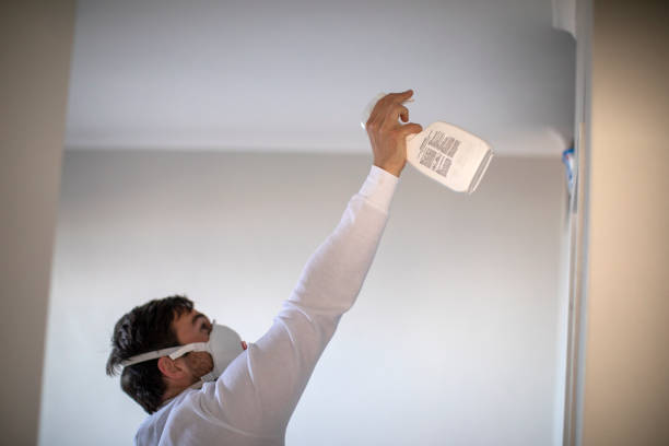 Best Toxic Mold Removal  in Milltown, NJ