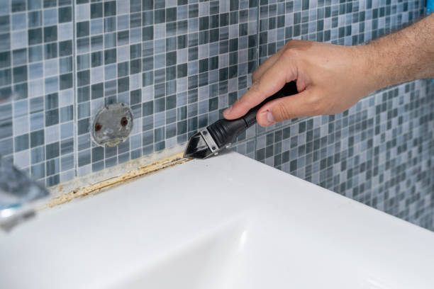 Reliable Milltown, NJ Mold Removal Solutions