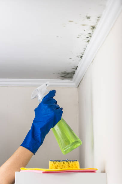 Best Emergency Mold Removal  in Milltown, NJ